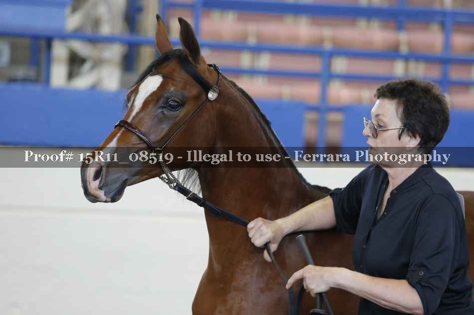 Proof 15R11_08519