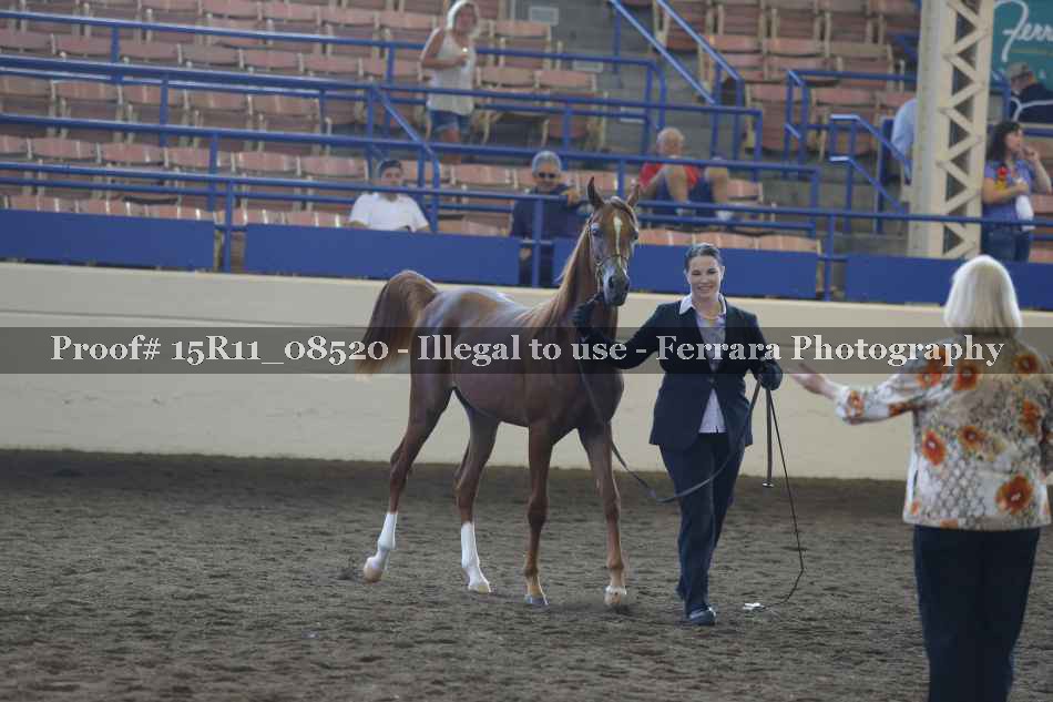 Proof 15R11_08520
