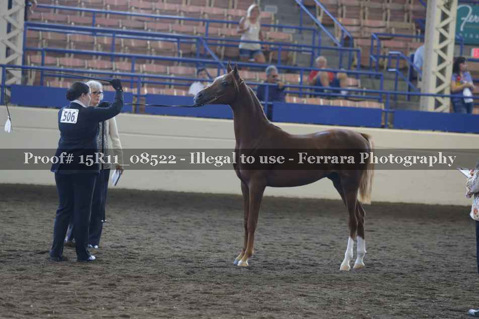 Proof 15R11_08522