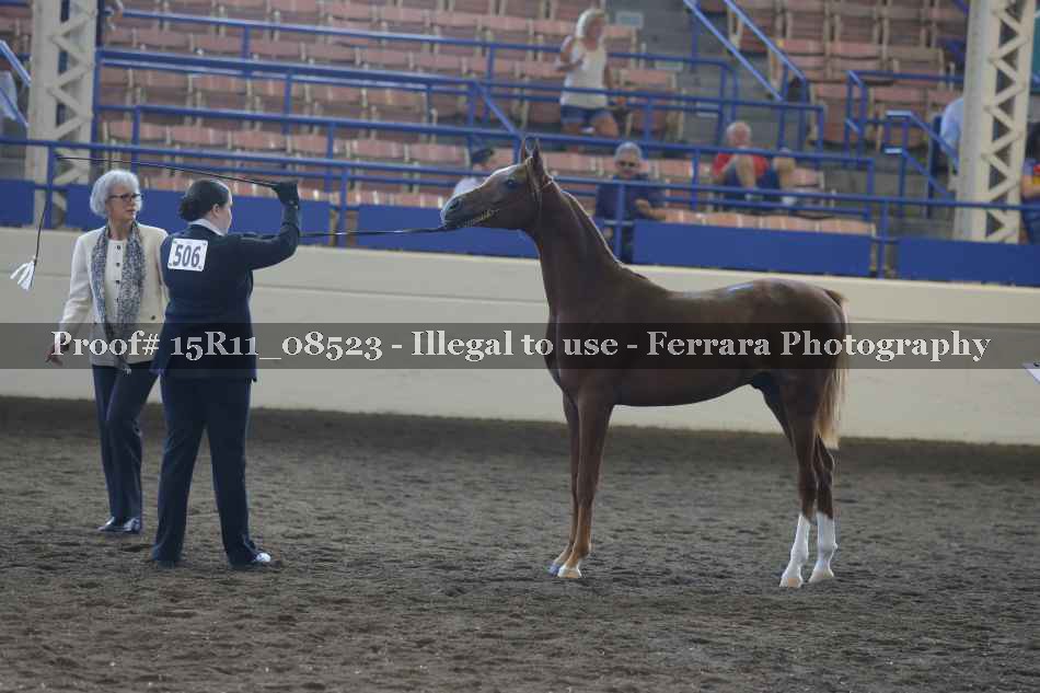 Proof 15R11_08523