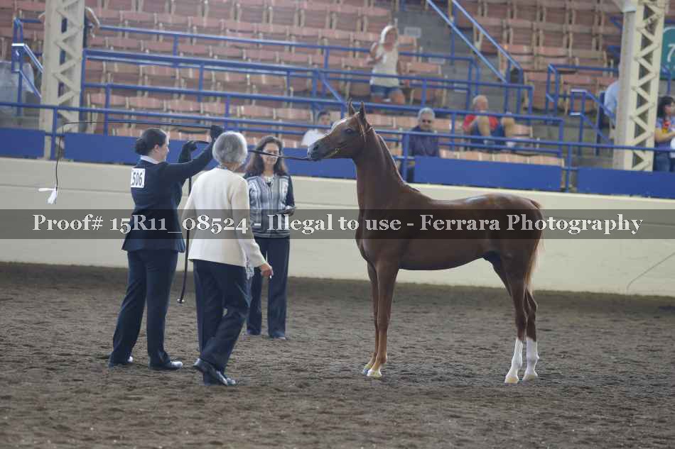 Proof 15R11_08524