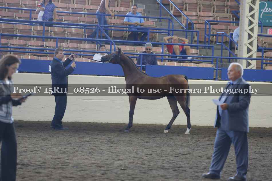 Proof 15R11_08526