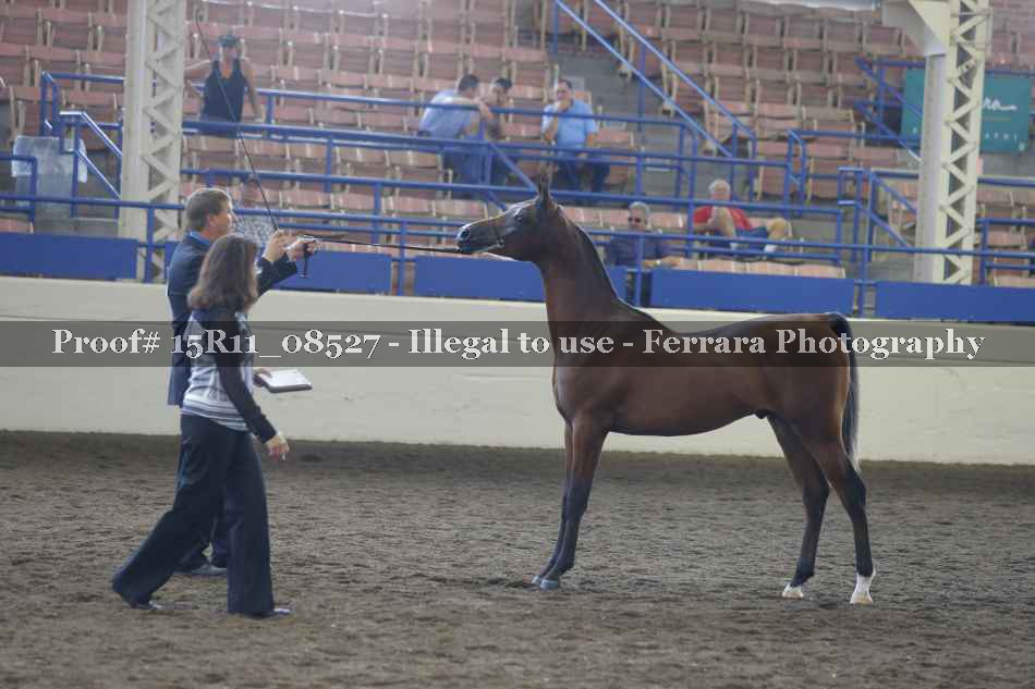 Proof 15R11_08527