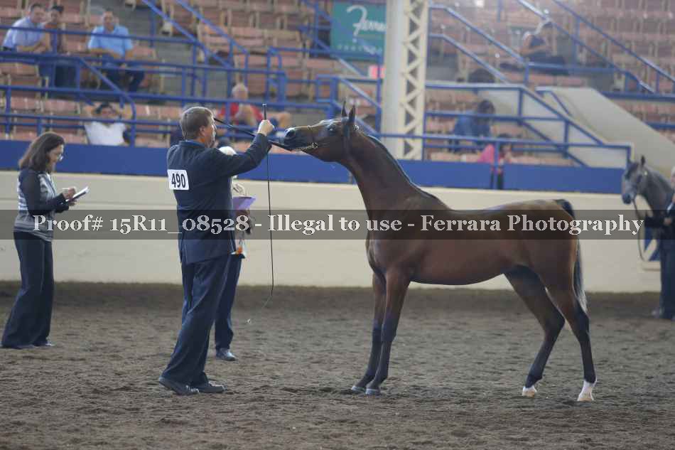 Proof 15R11_08528