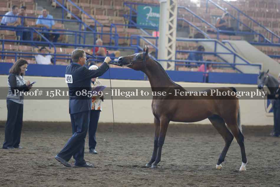 Proof 15R11_08529