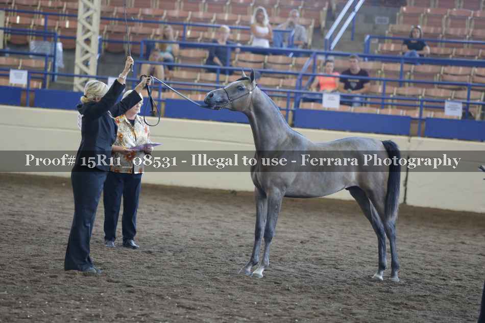Proof 15R11_08531