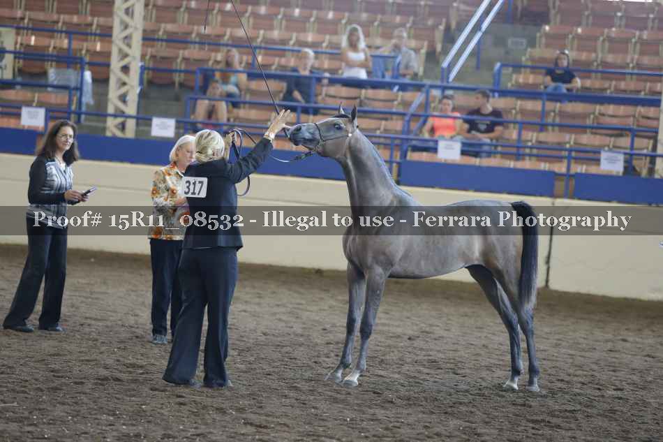 Proof 15R11_08532