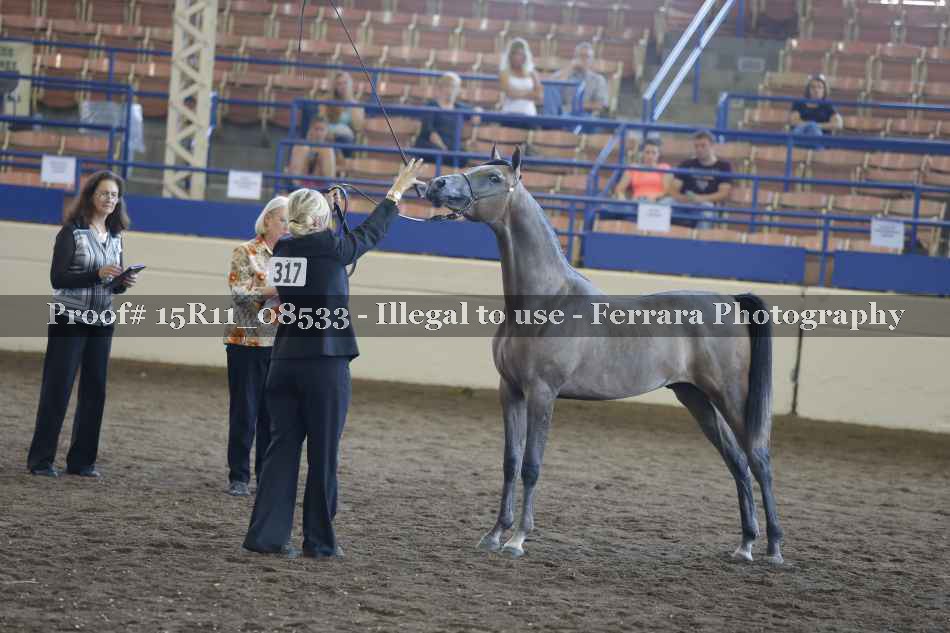 Proof 15R11_08533