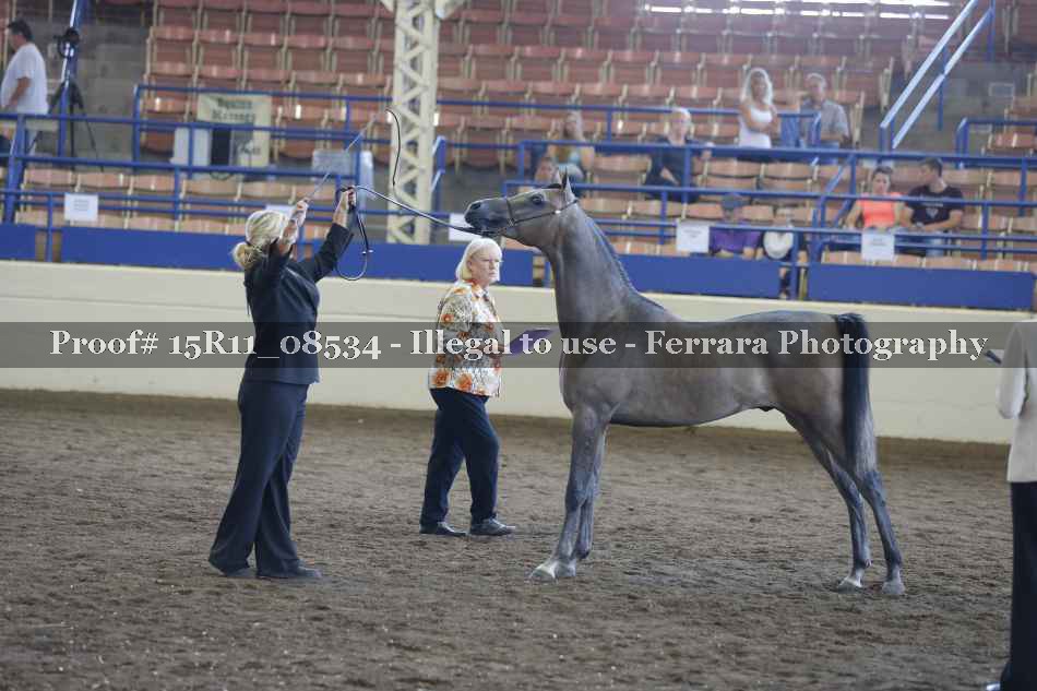 Proof 15R11_08534