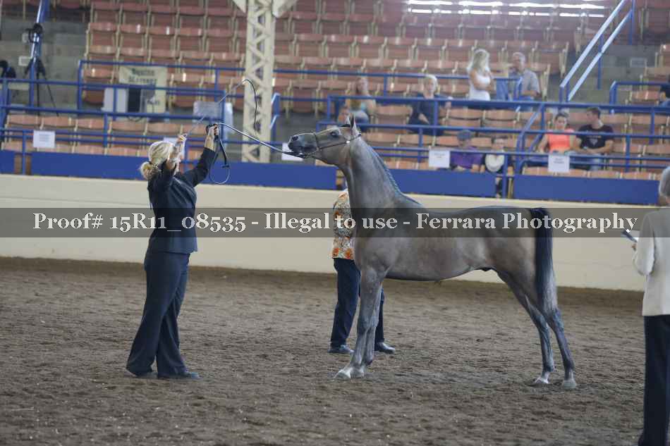 Proof 15R11_08535