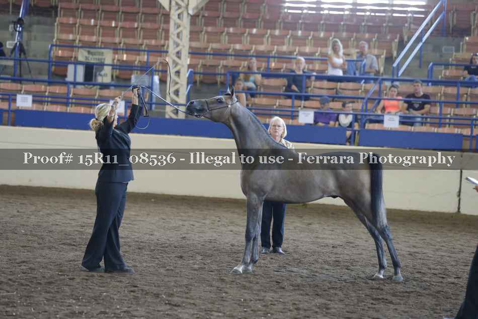 Proof 15R11_08536