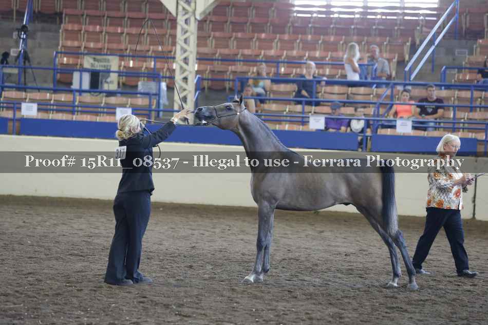 Proof 15R11_08537