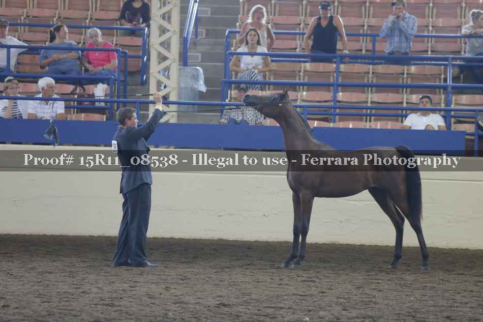 Proof 15R11_08538