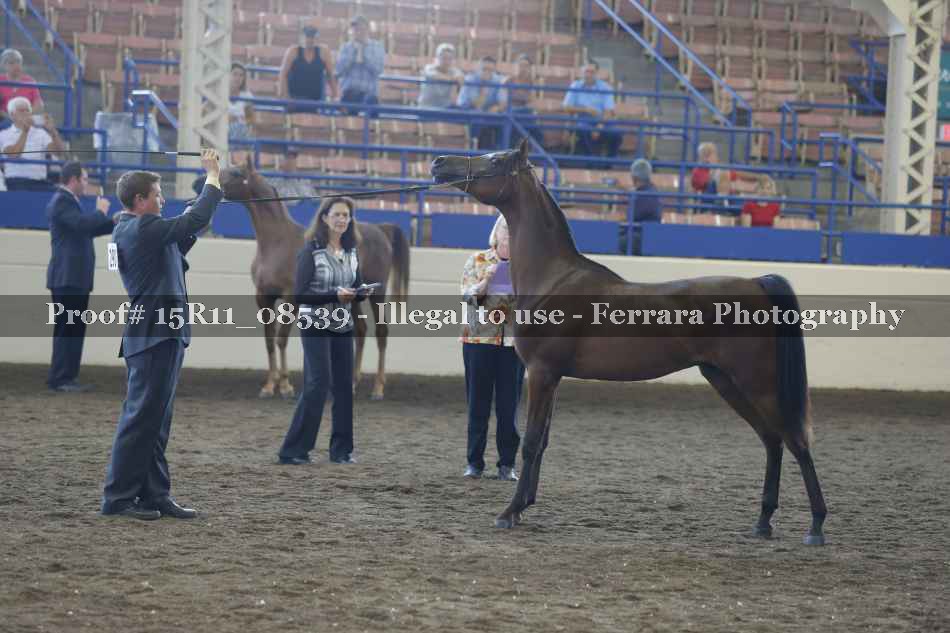 Proof 15R11_08539