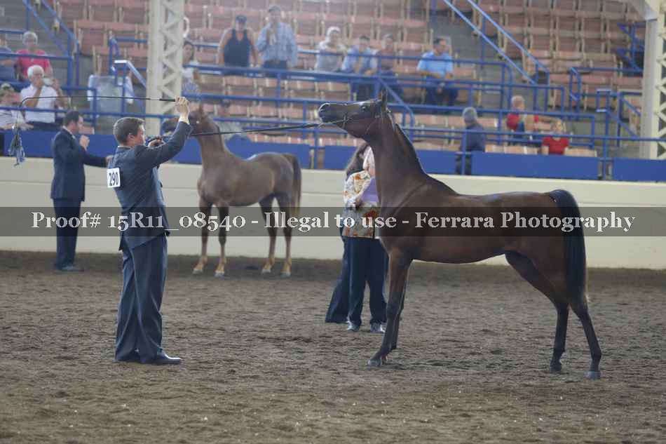 Proof 15R11_08540