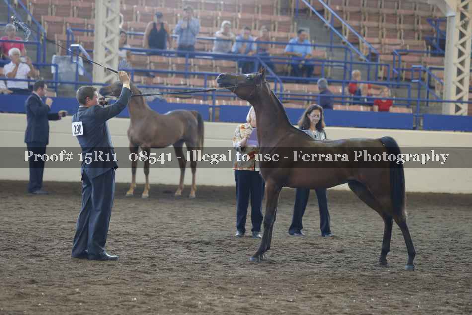 Proof 15R11_08541