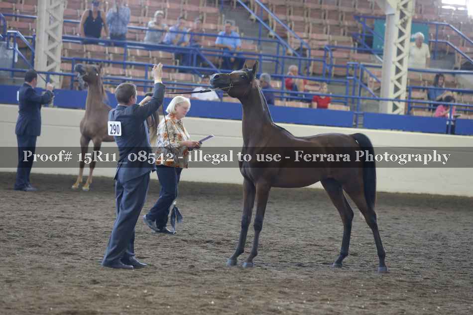 Proof 15R11_08542