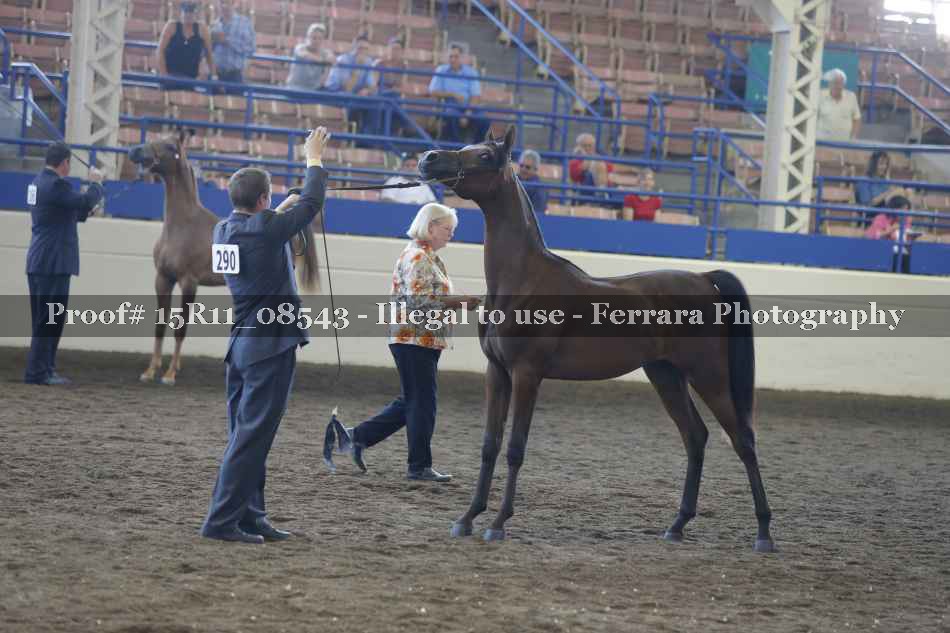 Proof 15R11_08543