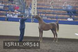 15R11_08544 proof