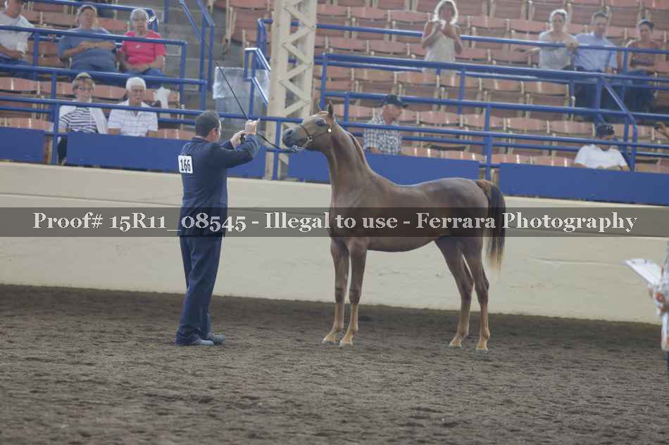 Proof 15R11_08545