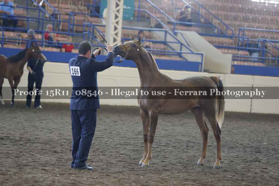 Proof 15R11_08546