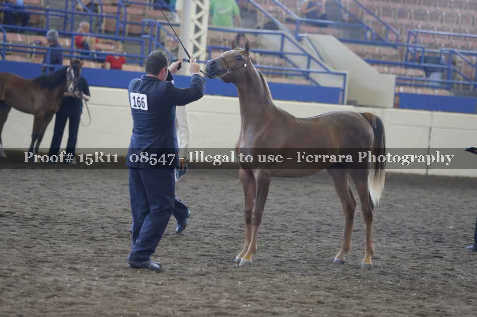 Proof 15R11_08547