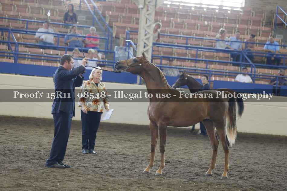 Proof 15R11_08548