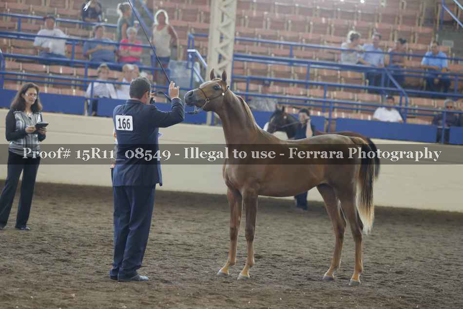 Proof 15R11_08549