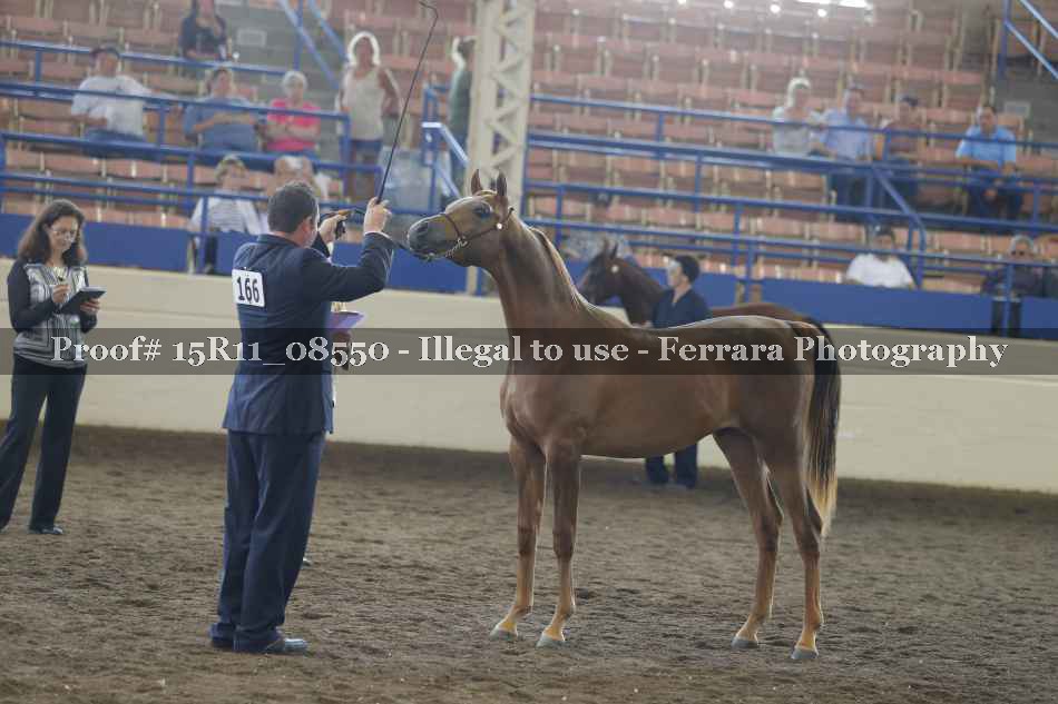 Proof 15R11_08550