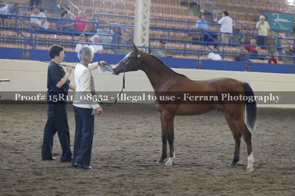 Proof 15R11_08552