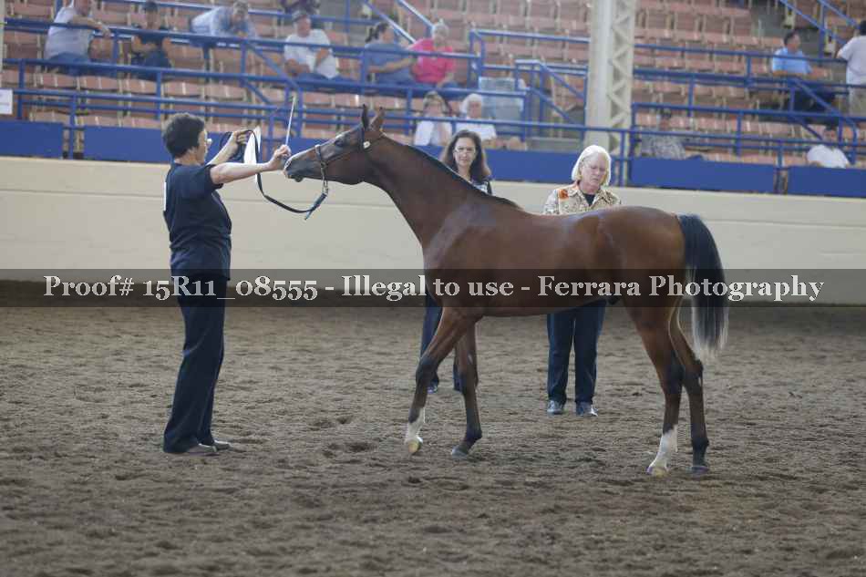 Proof 15R11_08555