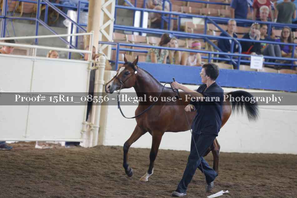 Proof 15R11_08556