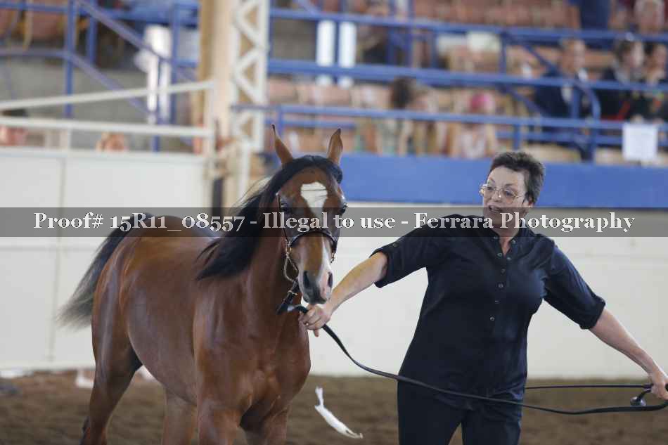 Proof 15R11_08557