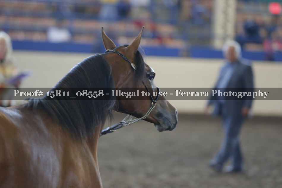 Proof 15R11_08558