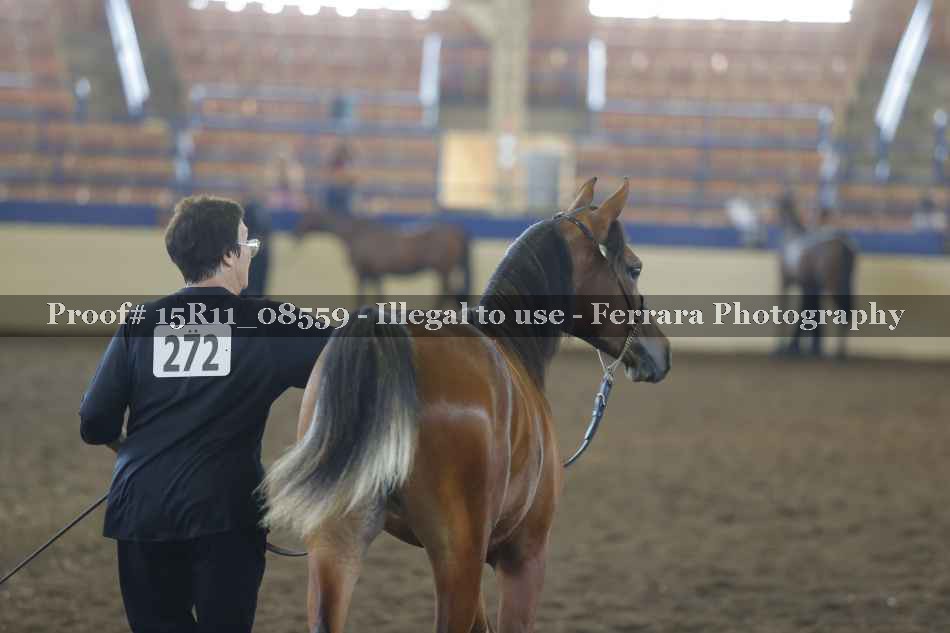 Proof 15R11_08559