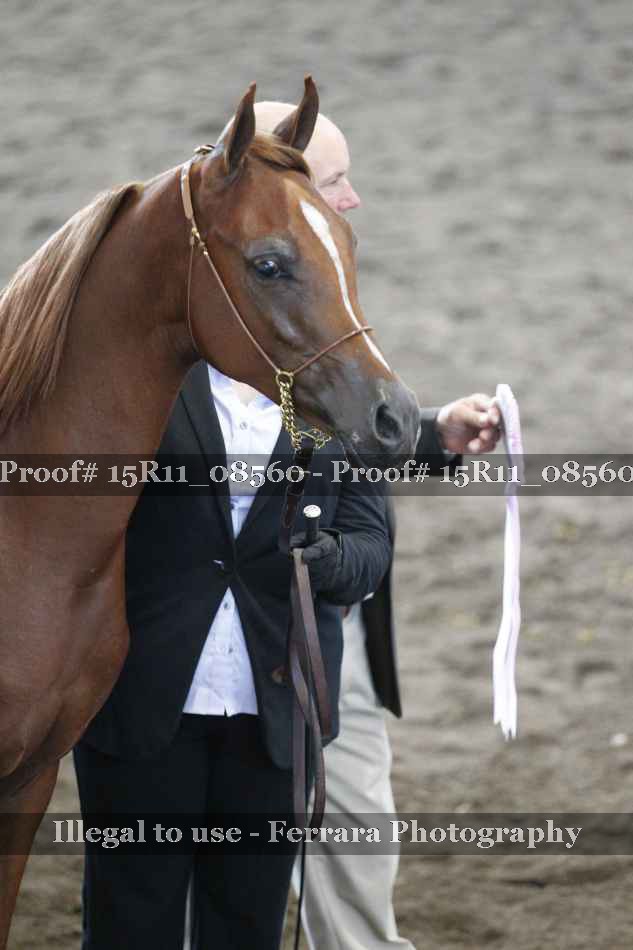 Proof 15R11_08560