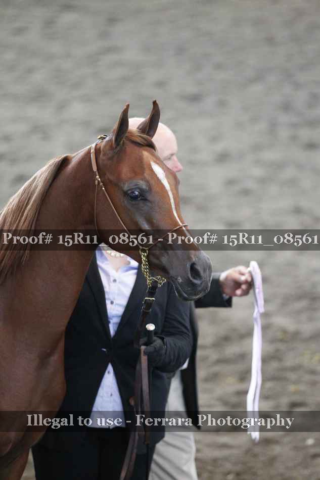 Proof 15R11_08561
