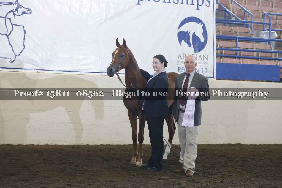 Proof 15R11_08562