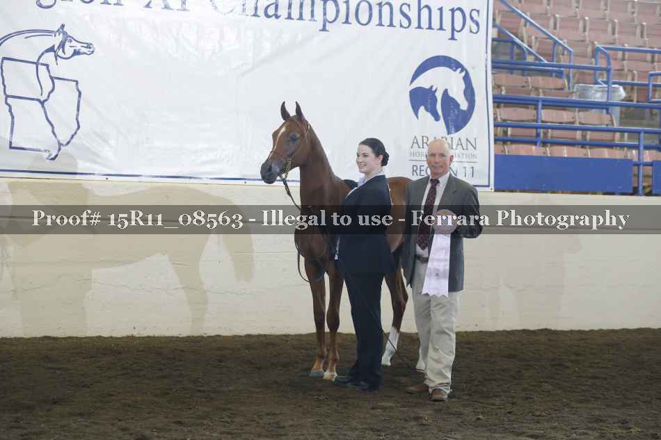 Proof 15R11_08563