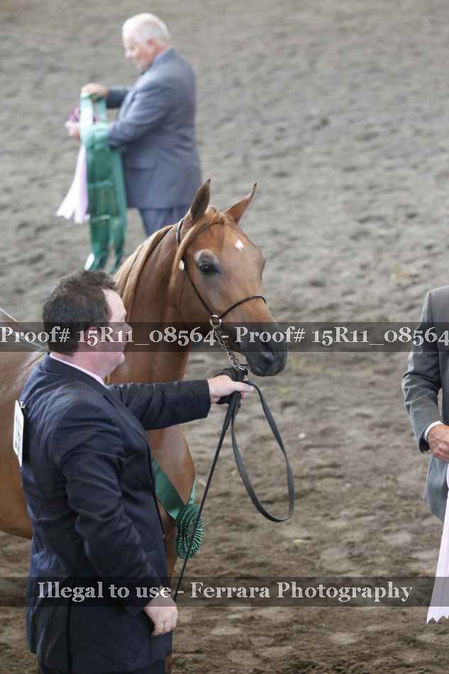 Proof 15R11_08564