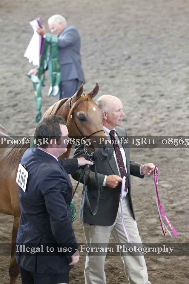 Proof 15R11_08565