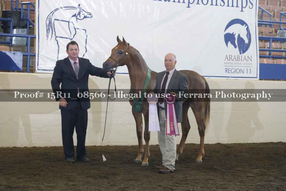 Proof 15R11_08566