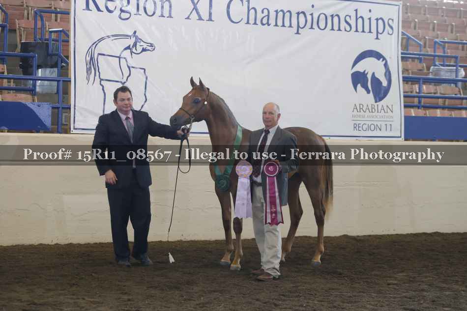 Proof 15R11_08567