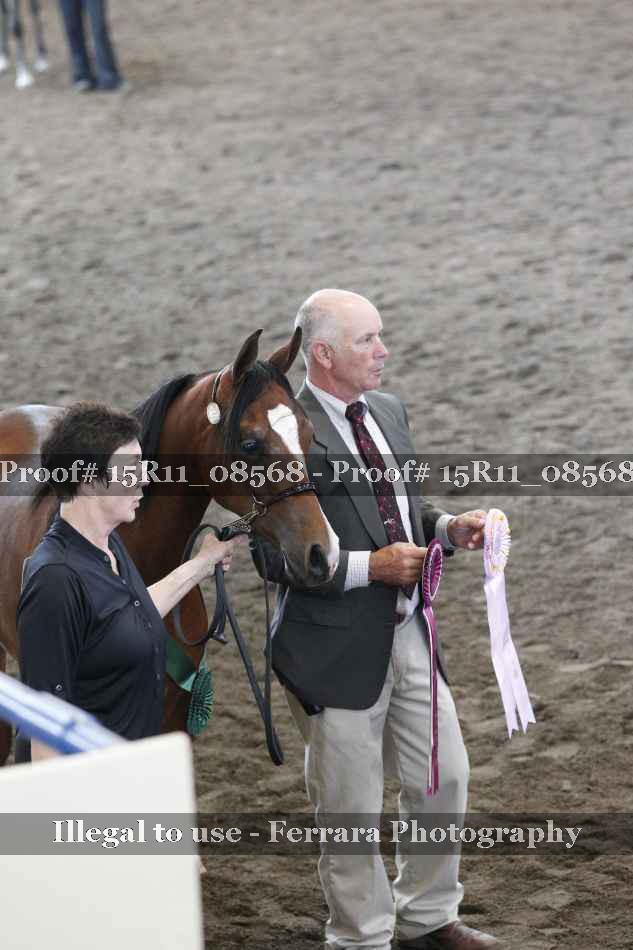 Proof 15R11_08568