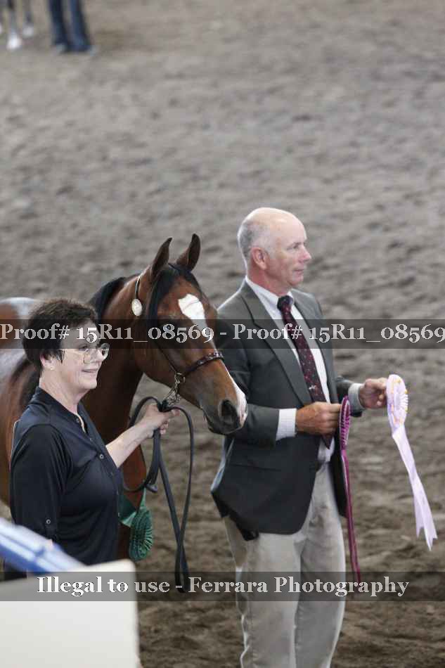 Proof 15R11_08569