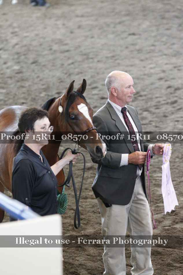 Proof 15R11_08570