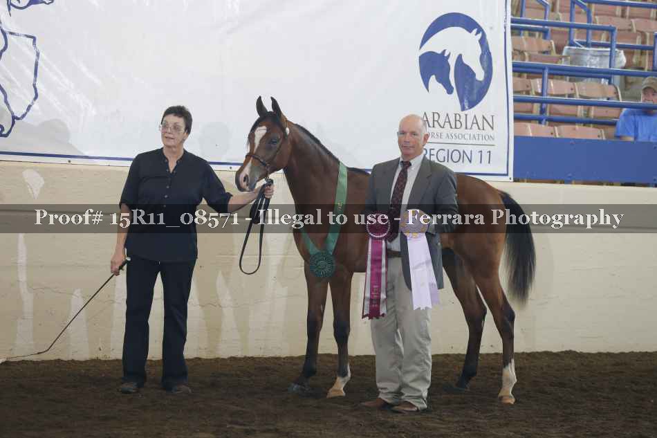 Proof 15R11_08571