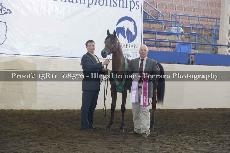 Proof 15R11_08576