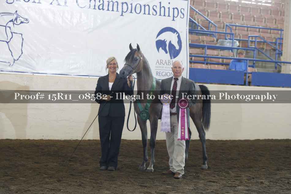 Proof 15R11_08582