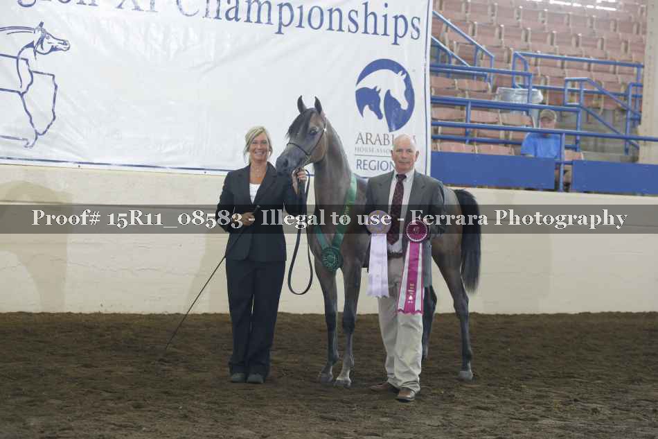Proof 15R11_08583